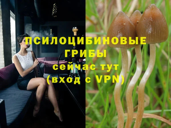 твердый Верея